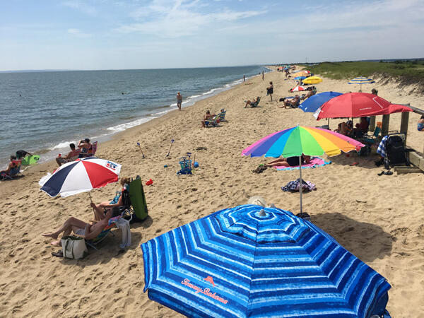 240 Surf Drive Mashpee, MA 02649 - Photo 42 of 45 A Summer Day