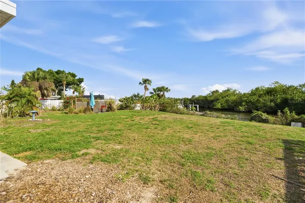 a view of a palm trees in a park