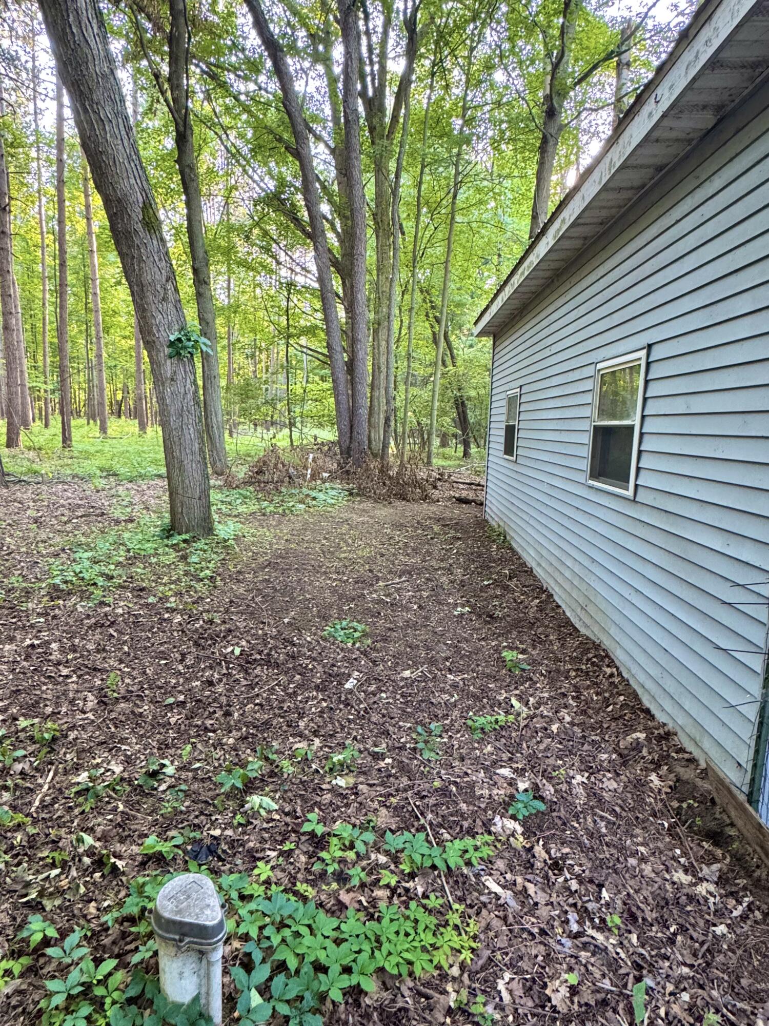 9462 East Colby Road Crystal, MI 48818 - Photo 50 of 51 IMG_9060