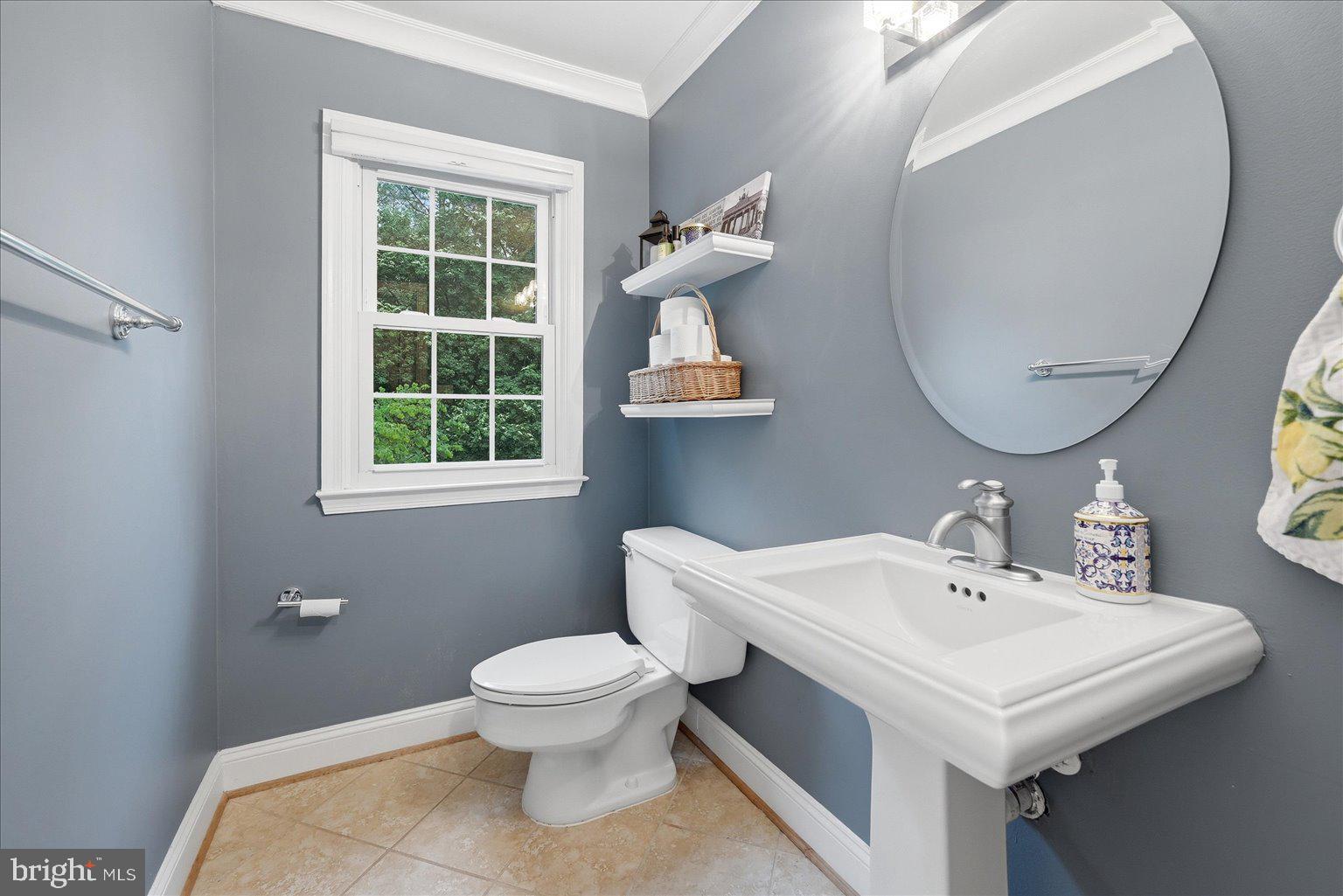 911 Riva Ridge Drive Great Falls, VA 22066 - Photo 23 of 55 Chic bathroom with serene gray tones.