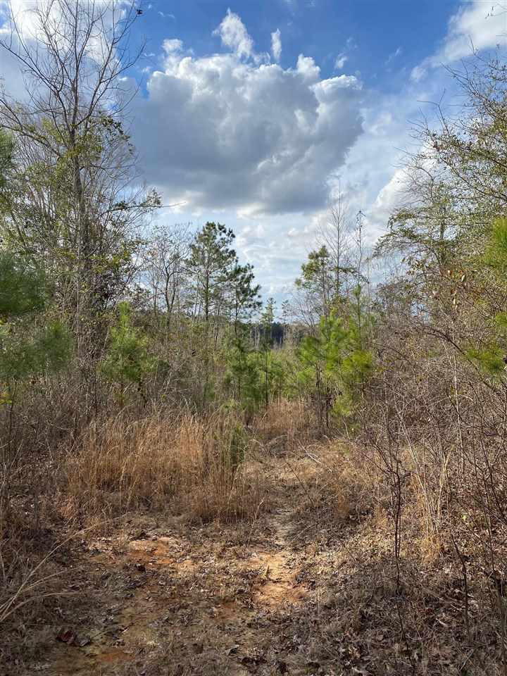 170 Ponder Road Mendenhall, MS 39114 - Photo 1 of 4 Photo 1