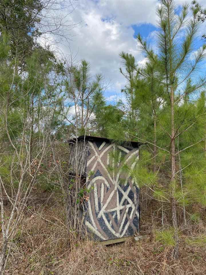 170 Ponder Road Mendenhall, MS 39114 - Photo 2 of 4 Photo 2