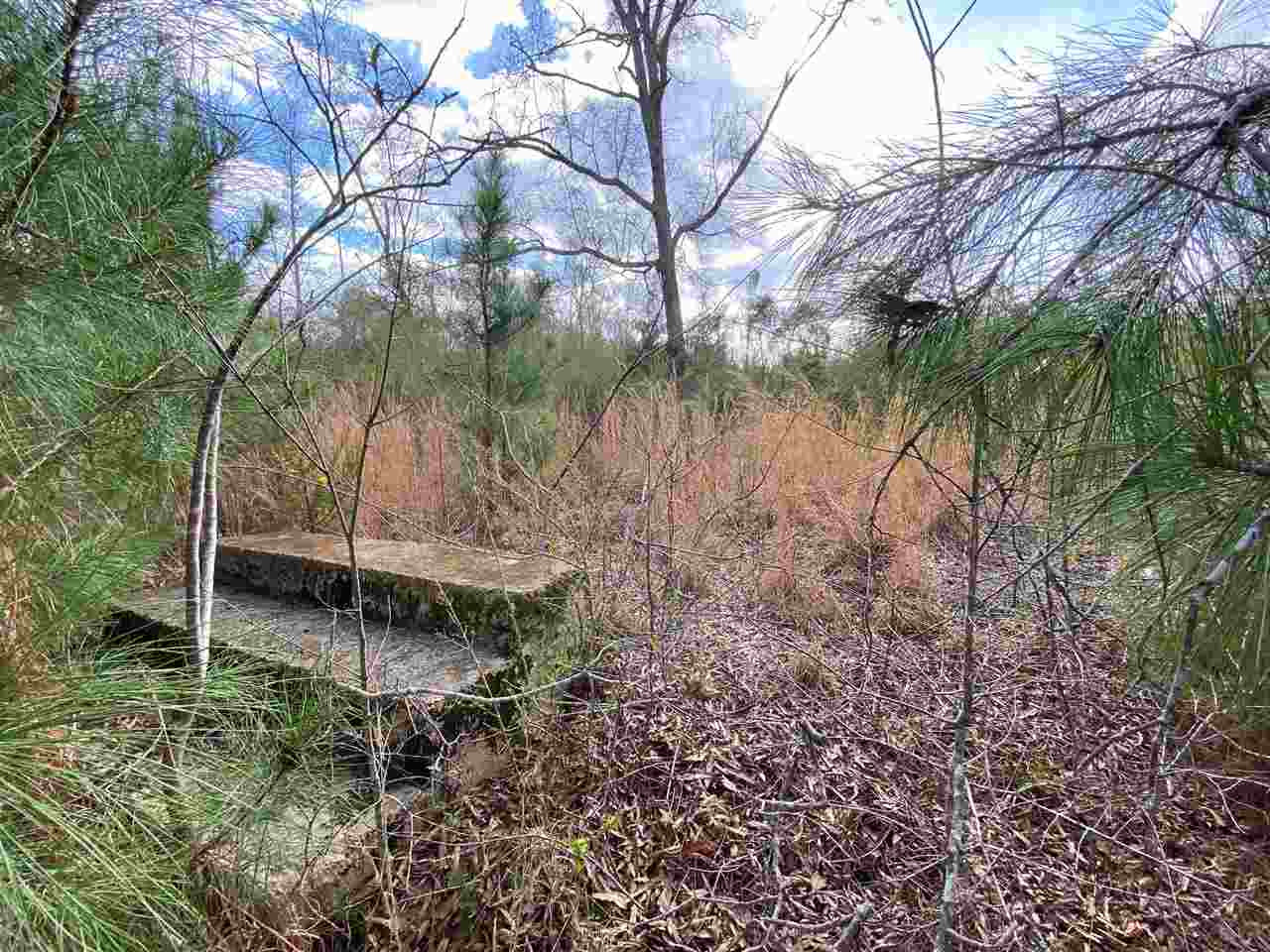 170 Ponder Road Mendenhall, MS 39114 - Photo 3 of 4 Photo 3