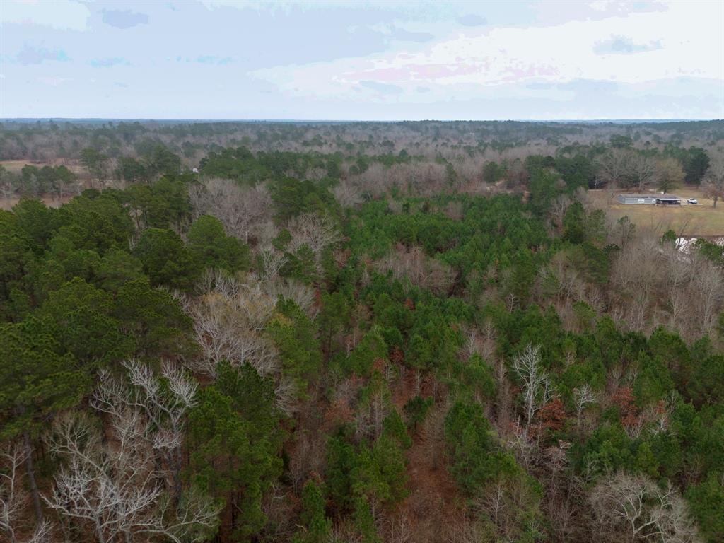 0 Blocker Road Marshall, TX 75672 - Photo 24 of 24 a view of a forest with lush green forest