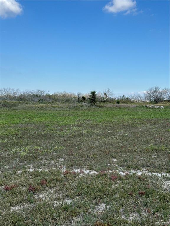 6-ac 6-ac San Fernando Road Rio Hondo, TX 78583 - Photo 9 of 10 a view of a green field with lots of bushes