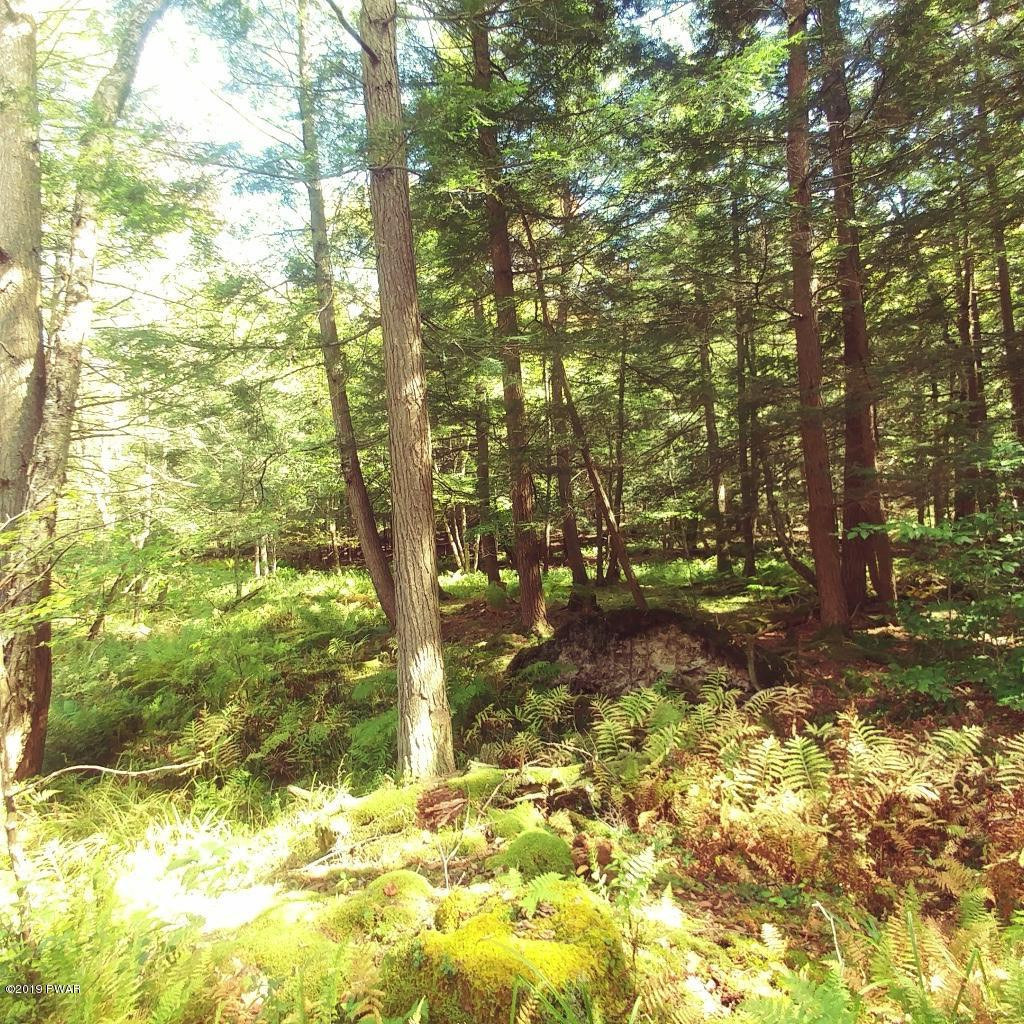 Bonnie Brook Road Roscoe, NY 12776 - Photo 4 of 7