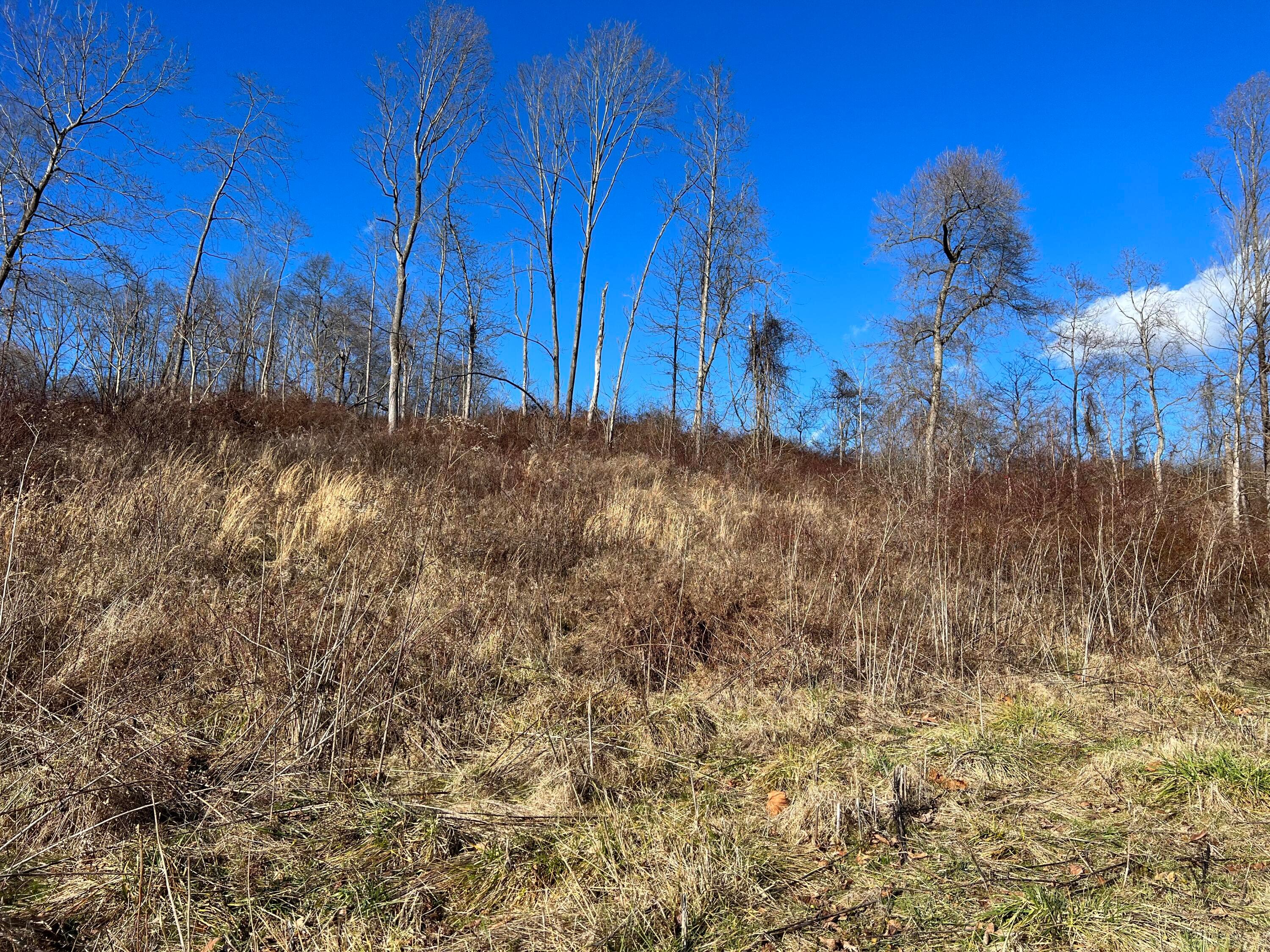 0 McGrath Road, Unit MCGRATH TRACT 8) Athens, OH 45701 - Photo 22 of 30 20240111_192446042_iOS