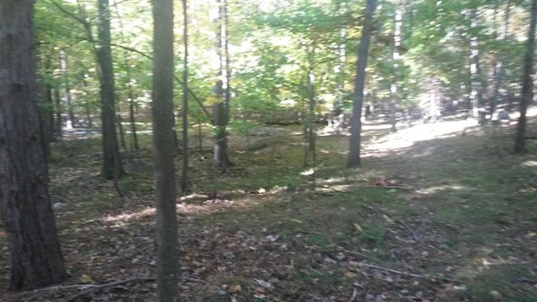Lot 5 Mountain Road Hampden, MA 01036 - Photo 1 of 1 Gallery Image 1