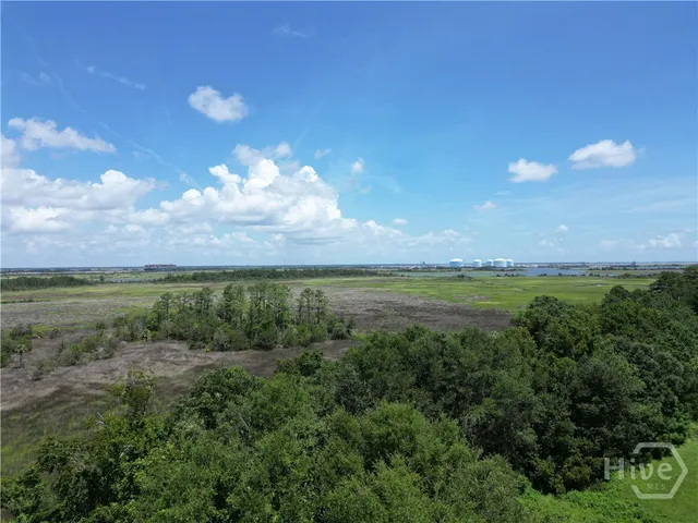 $6,500,000 | 0 Riverview Drive, Savannah, GA 31410