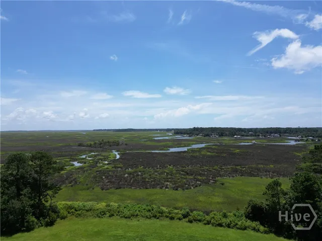 $6,500,000 | 0 Riverview Drive, Savannah, GA 31410