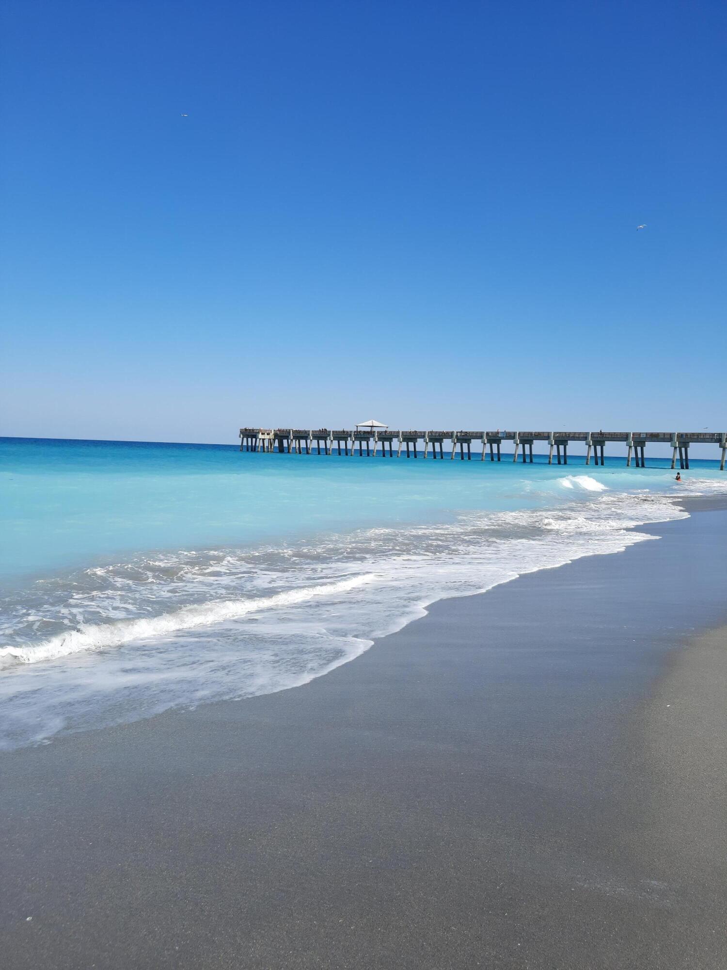 1701 Mizzenmast Way Jupiter, FL 33477 - Photo 58 of 63 Juno Pier