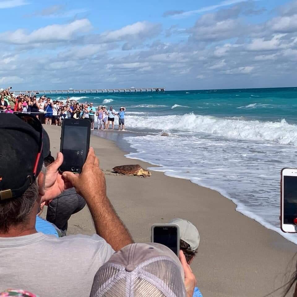 1701 Mizzenmast Way Jupiter, FL 33477 - Photo 61 of 63 FB_IMG_1706573886361