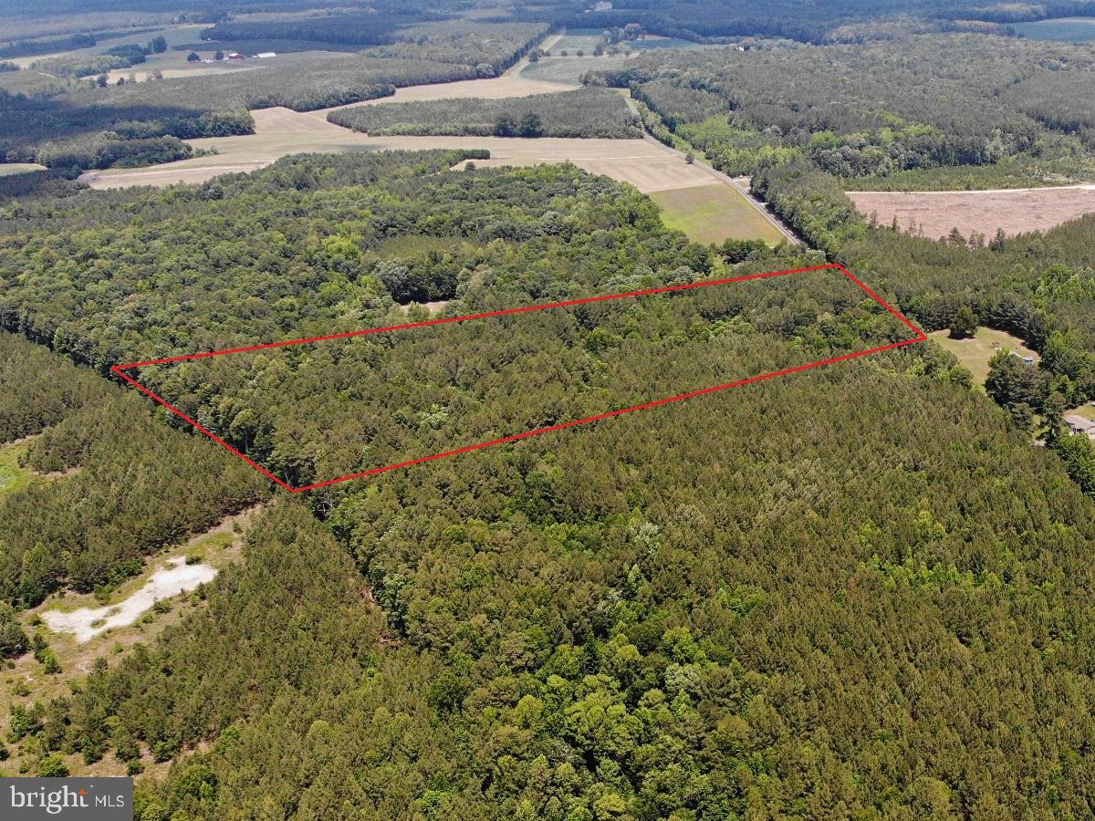0 Salisbury Road Spring Grove, VA 23881 - Photo 5 of 23
