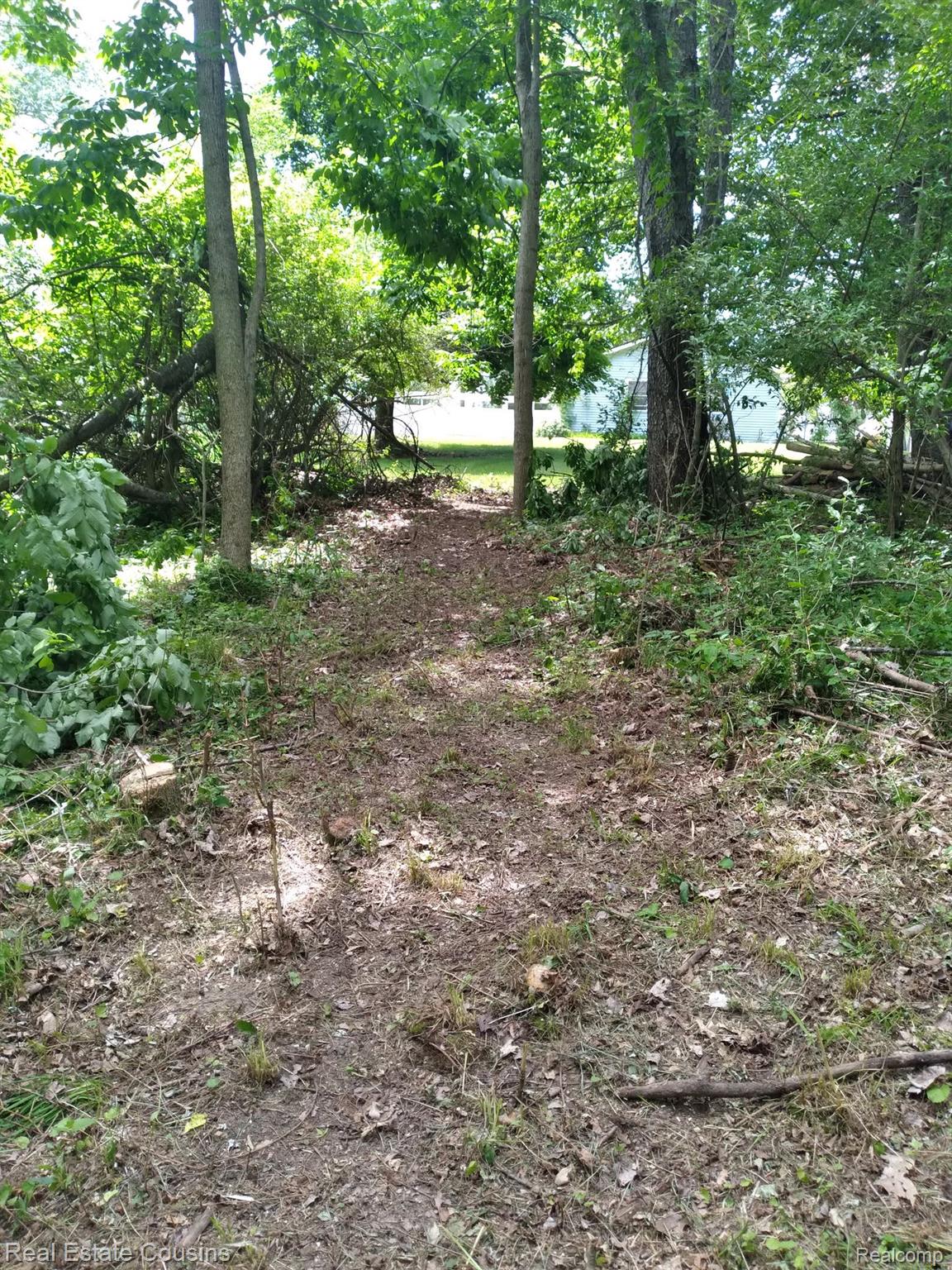 2247 Johnson Mill Road North Branch, MI 48461 - Photo 24 of 26 Wooded pathway framed by mature trees, opening to a grassy clearing