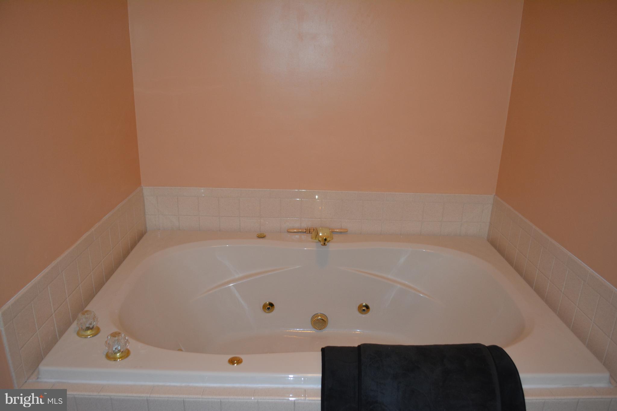 1085 Kesler Road Front Royal, VA 22630 - Photo 17 of 30 Bath (Master)