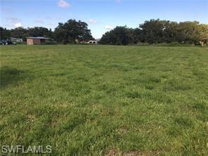 18759 Persimmon Ridge Road Alva, FL 33920 - Photo 11 of 23 a view of outdoor space and yard