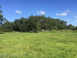 18759 Persimmon Ridge Road Alva, FL 33920 - Photo 15 of 23 a view of a green field with lots of bushes
