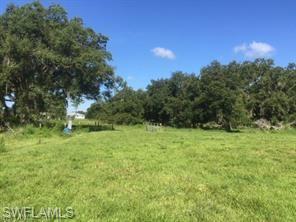 18759 Persimmon Ridge Road Alva, FL 33920 - Photo 16 of 23 a view of a grassy field with trees in the background