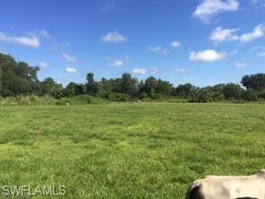 18759 Persimmon Ridge Road Alva, FL 33920 - Photo 17 of 23 a view of a field with trees in background