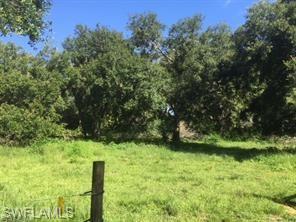 18759 Persimmon Ridge Road Alva, FL 33920 - Photo 19 of 23 a view of yard with green space