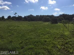 18759 Persimmon Ridge Road Alva, FL 33920 - Photo 20 of 23 a view of a field with an trees in the background
