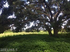 18759 Persimmon Ridge Road Alva, FL 33920 - Photo 23 of 23 a view of yard from a corridor