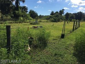 18759 Persimmon Ridge Road Alva, FL 33920 - Photo 6 of 23 a view of a grassy area with an trees