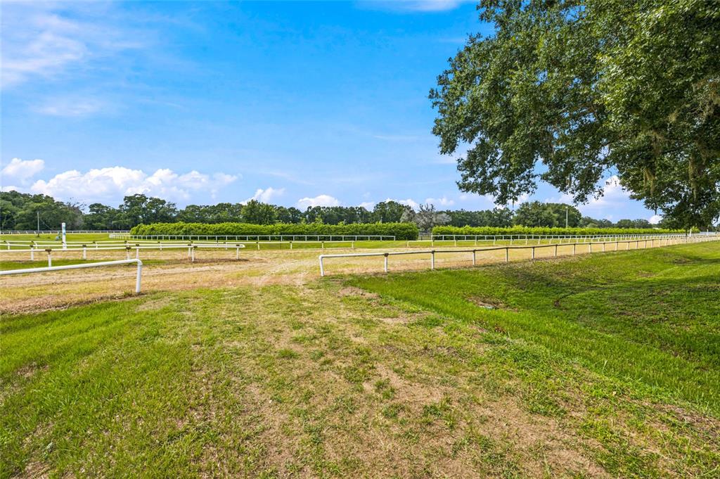 3825 Northwest 160th Street Reddick, FL 32686 - Photo 30 of 71