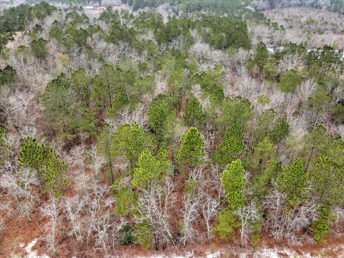 Tr-5 West Wilderness Road Williston, SC 29853 - Photo 11 of 14