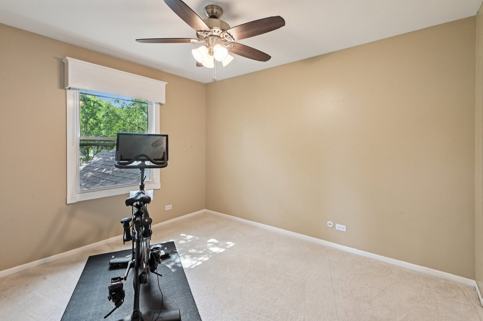 2313 Modaff Road Naperville, IL 60565 - Photo 30 of 37