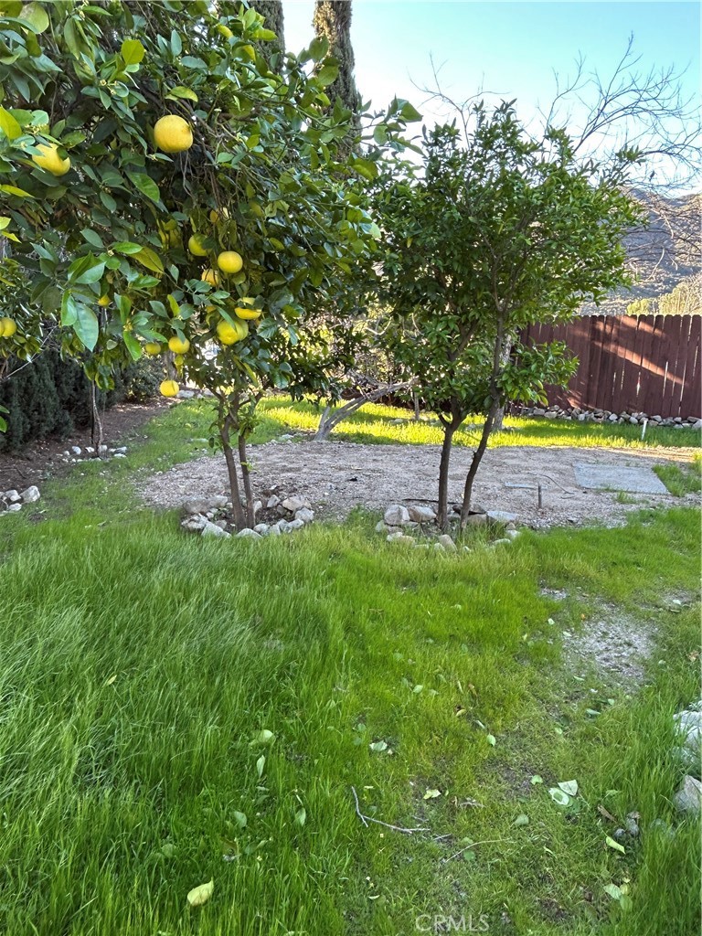 9241 Pali Avenue Tujunga, CA 91042 - Photo 15 of 19