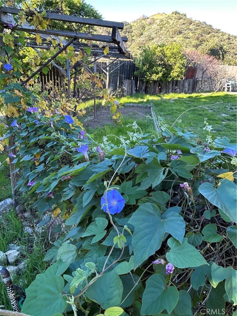 9241 Pali Avenue Tujunga, CA 91042 - Photo 16 of 19