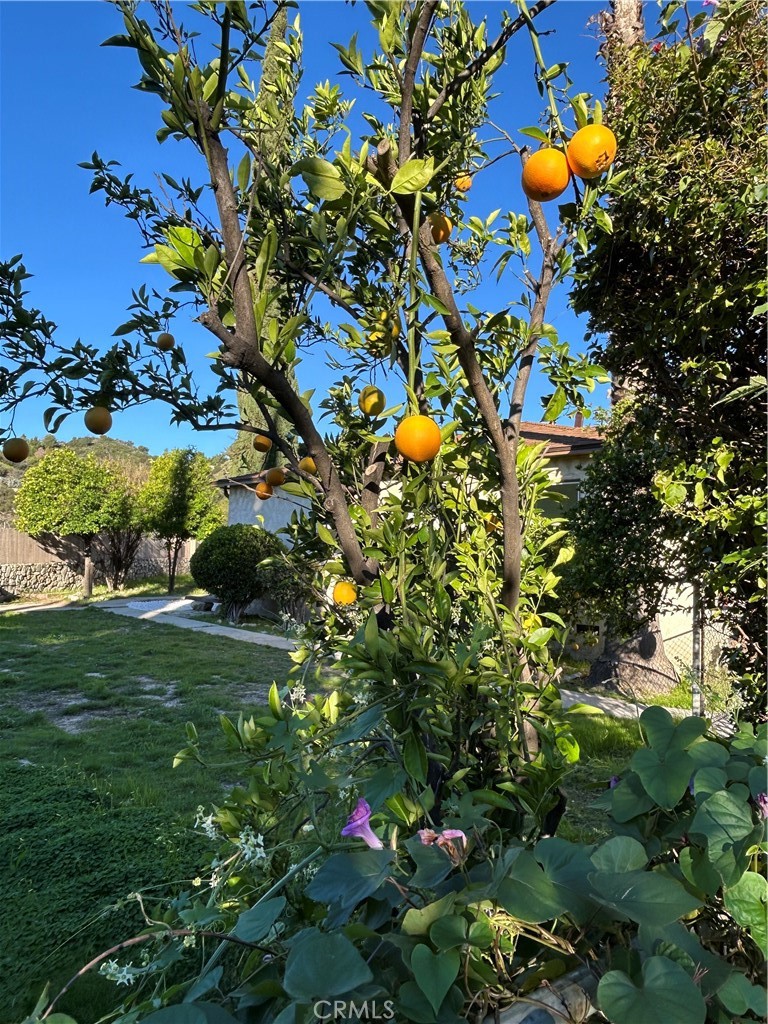 9241 Pali Avenue Tujunga, CA 91042 - Photo 17 of 19