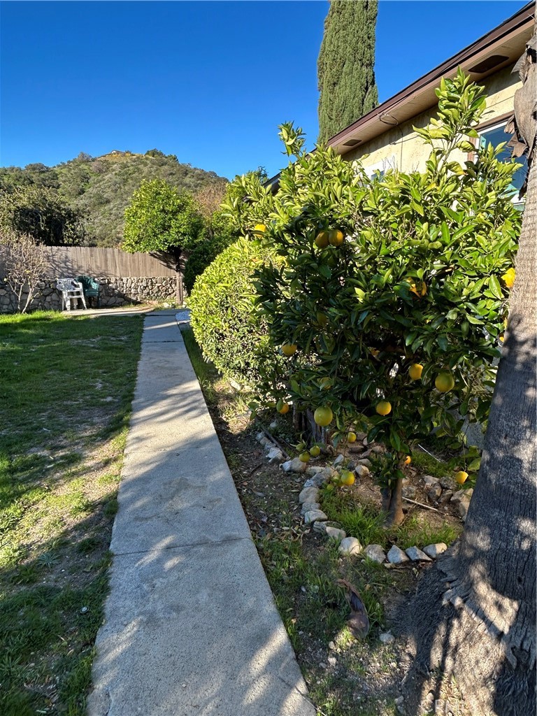 9241 Pali Avenue Tujunga, CA 91042 - Photo 18 of 19