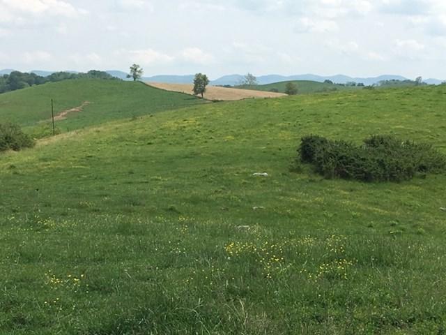 Tbd Route 91, Unit 32A Glade Spring, VA 24340 - Photo 2 of 6 route91-2