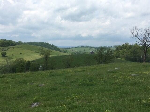 Tbd Route 91, Unit 32A Glade Spring, VA 24340 - Photo 3 of 6 route91-3