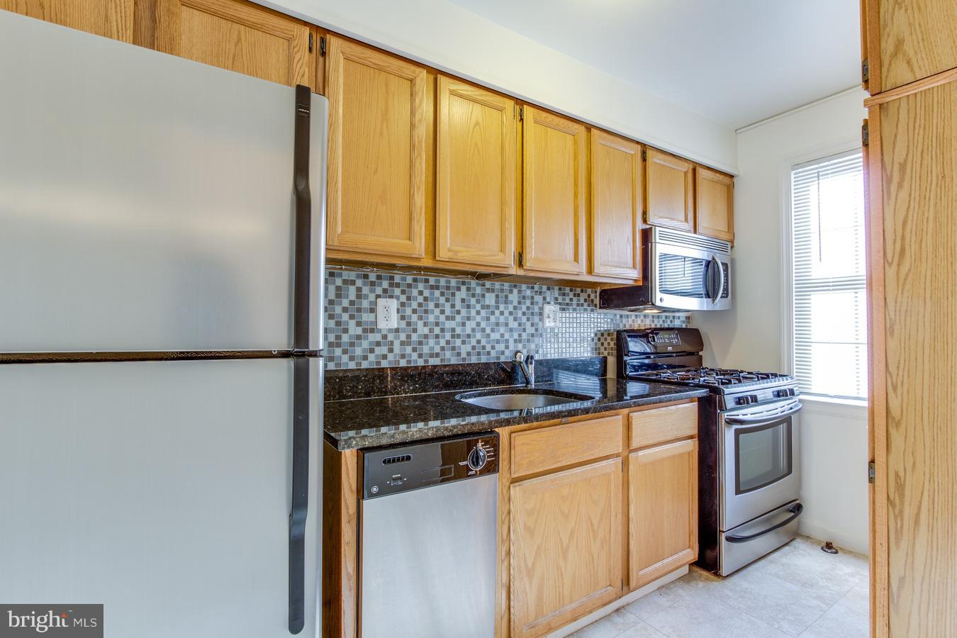 8331 Grubb Road, Unit G201 Silver Spring, MD 20910 - Photo 3 of 15 Kitchen