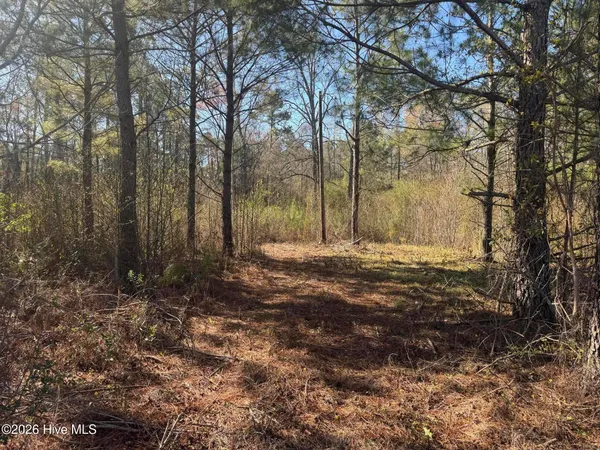 $236,600 | 0 Little Prong Road Northwest, Ash, NC 28420