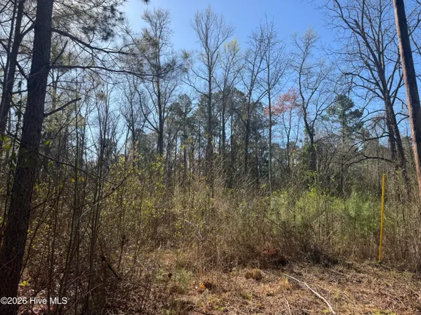 $236,600 | 0 Little Prong Road Northwest, Ash, NC 28420