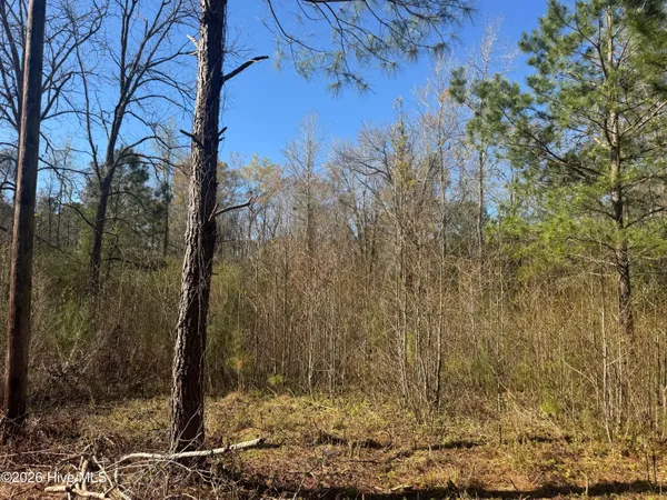 $236,600 | 0 Little Prong Road Northwest, Ash, NC 28420
