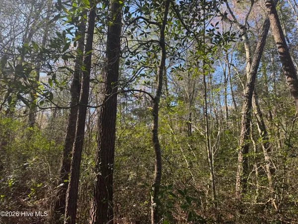 $236,600 | 0 Little Prong Road Northwest, Ash, NC 28420