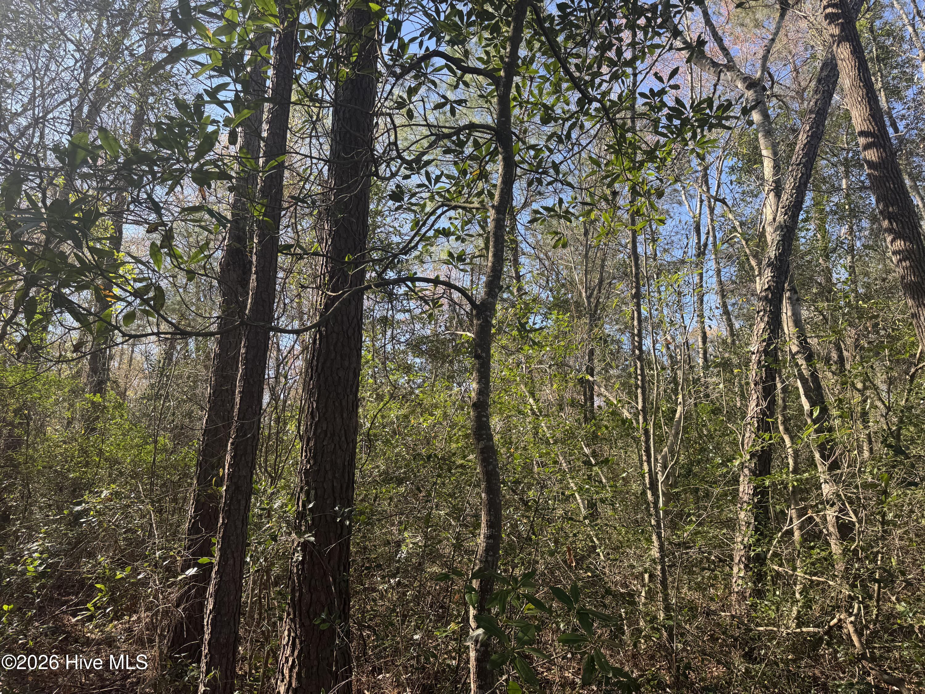 0 Little Prong Road Northwest Ash, NC 28420 - Photo 6 of 7 IMG_3468