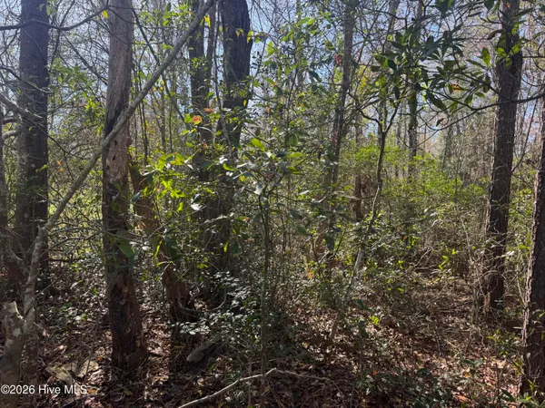 $236,600 | 0 Little Prong Road Northwest, Ash, NC 28420