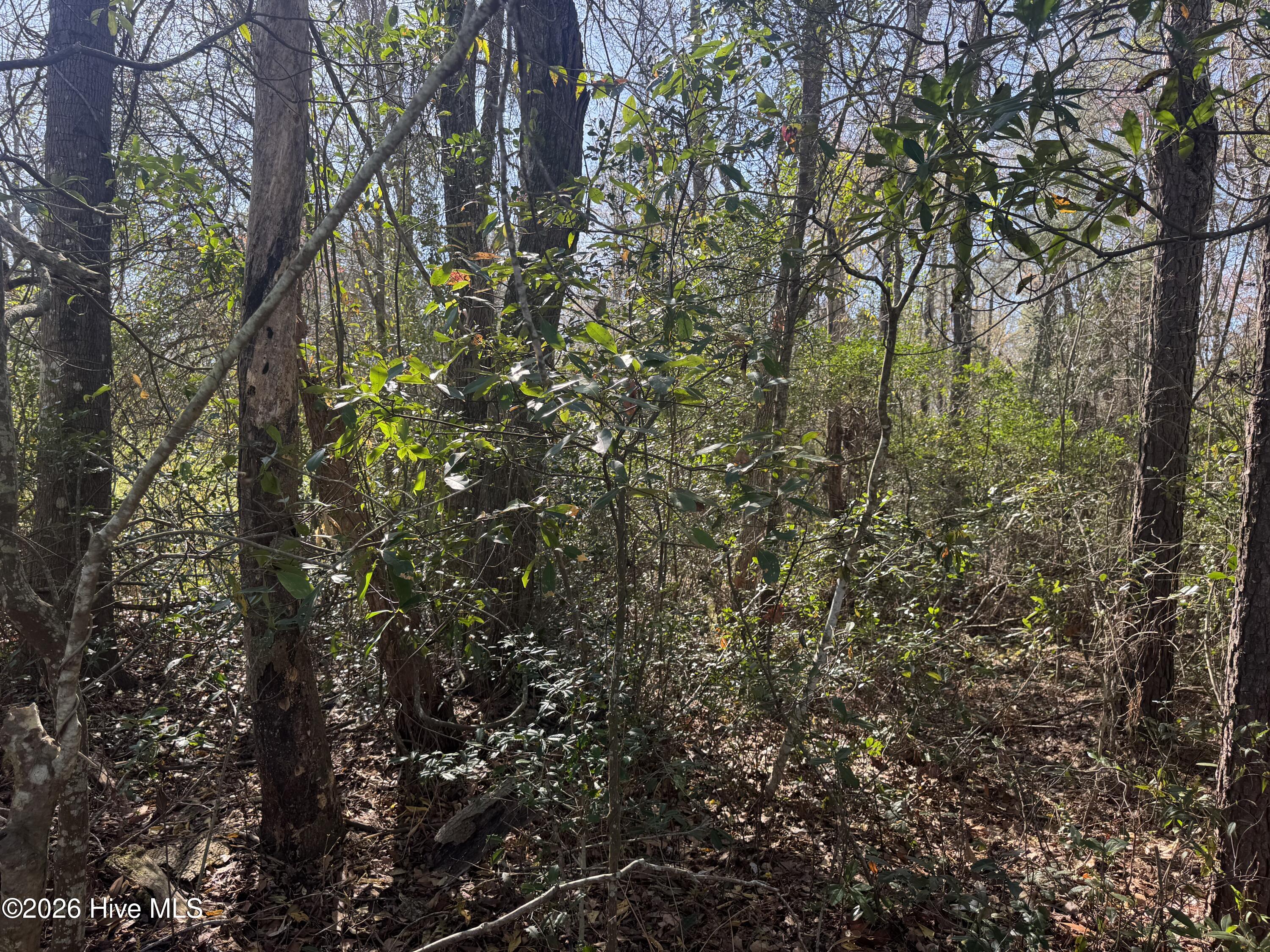 0 Little Prong Road Northwest Ash, NC 28420 - Photo 7 of 7 IMG_3469