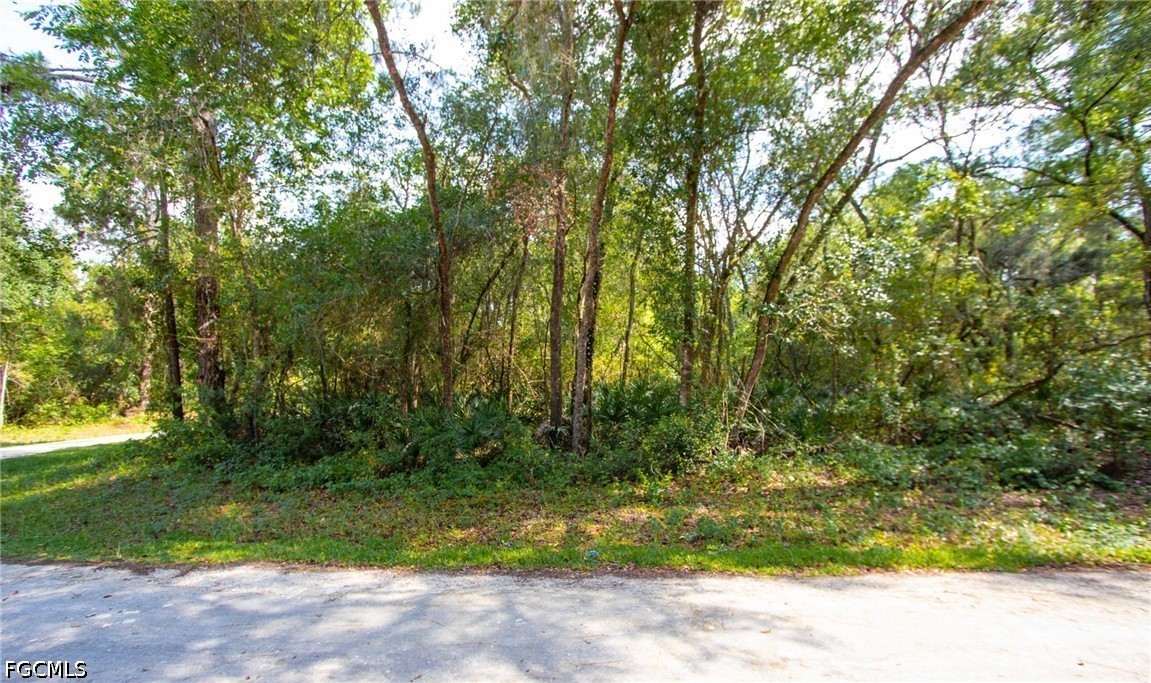 8009 Packingham Drive Webster, FL 33597 - Photo 2 of 6