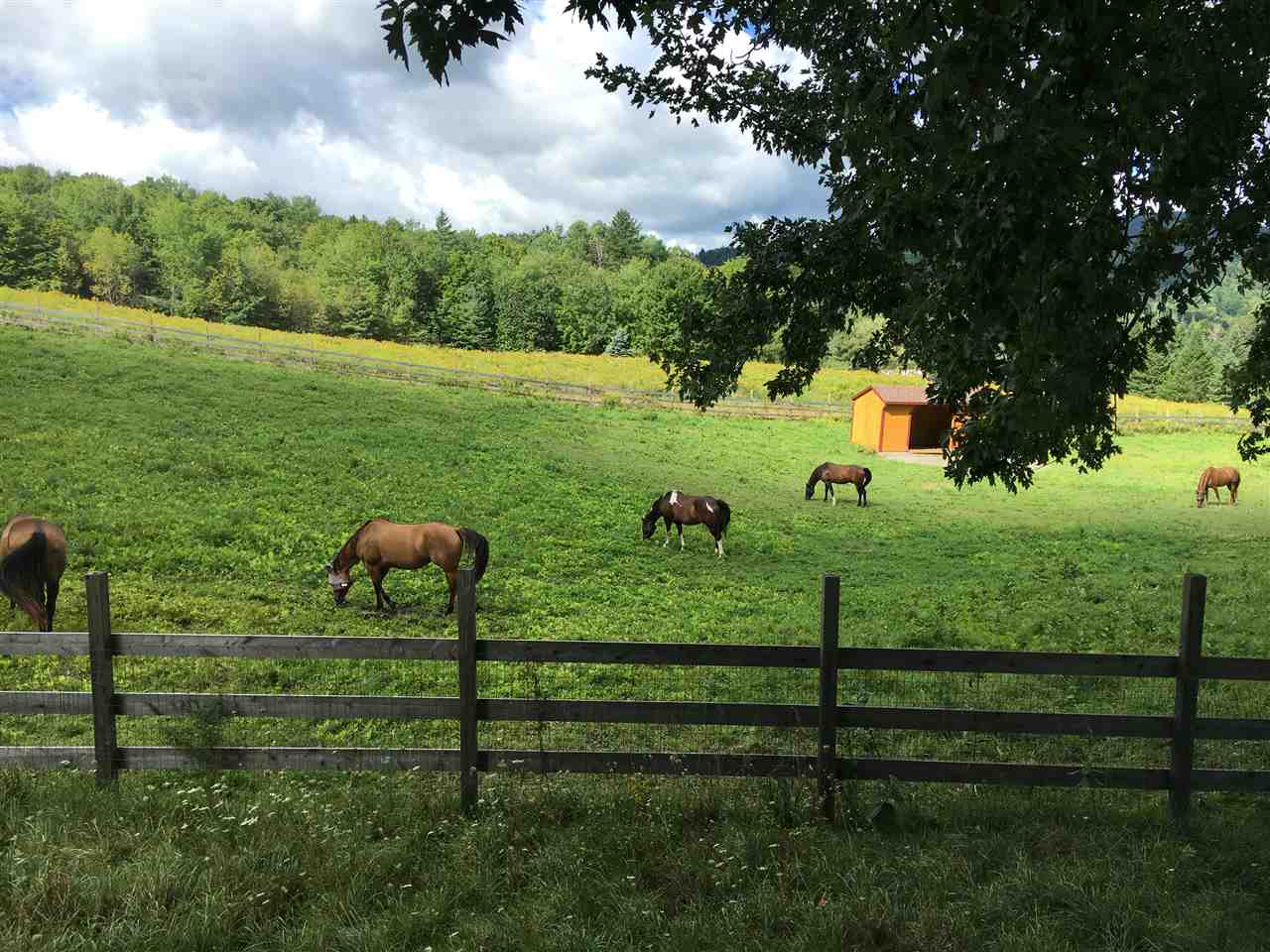 94 Junction Hill Road Cambridge, VT 05464 - Photo 31 of 32 Gallery Image 31