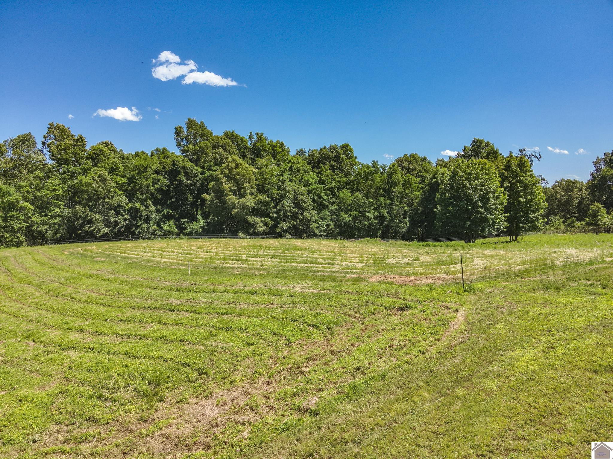 869 Cave Spring Road Smithland, KY 42081 - Photo 10 of 37 Photo 10