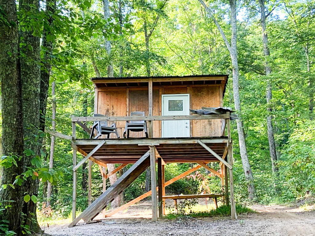 301 Texas Hollow Road Luttrell, TN 37779 - Photo 30 of 30 WhatsApp Image 2021-09-15 at 22.14.24