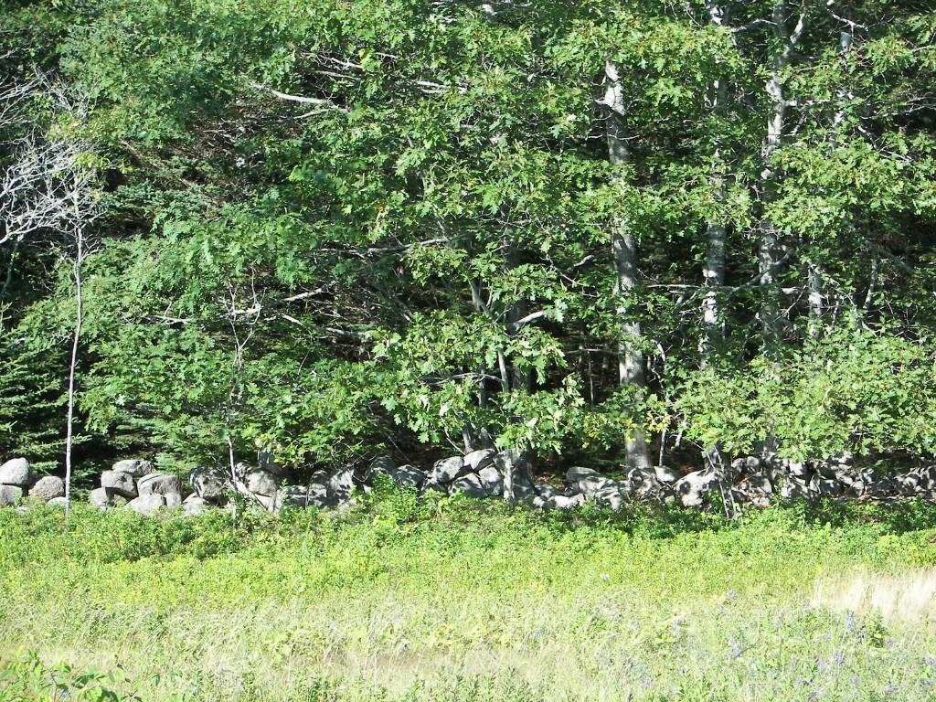 68 Poor Farm Road Vinalhaven, ME 04863 - Photo 3 of 3 Photo