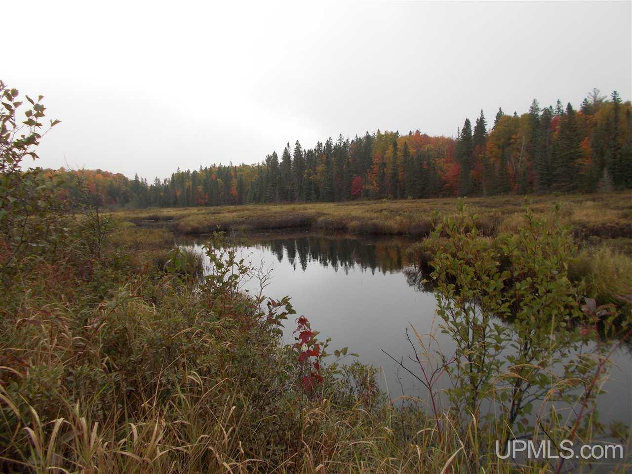 640-acres Peshekee Grade Road Skanee, MI 49946 - Photo 21 of 37